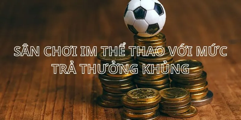 Bet thủ có thể kiếm tiền nhanh và đơn giản khi tham gia sảnh IM Bet thủ có thể kiếm tiền nhanh và đơn giản khi tham gia sảnh IM