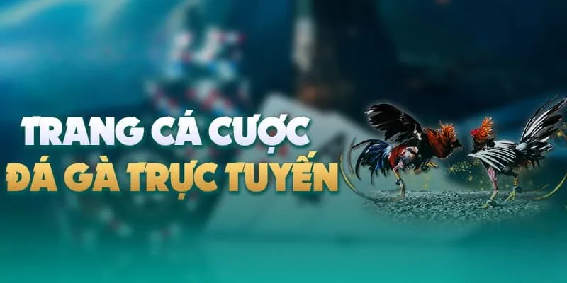 8Day - nhà cái đá gà số 1 8Day - nhà cái đá gà số 1